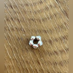 Pandora spacer charm